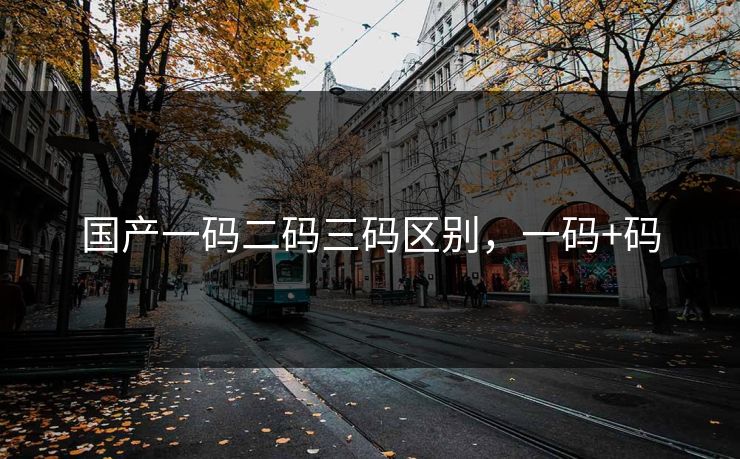 国产一码二码三码区别，一码+码