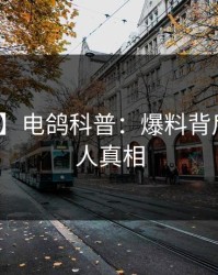【爆料】电鸽科普：爆料背后10个惊人真相