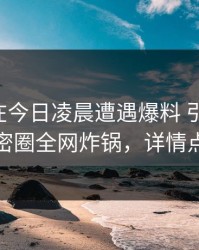 当事人在今日凌晨遭遇爆料 引发联想，微密圈全网炸锅，详情点击