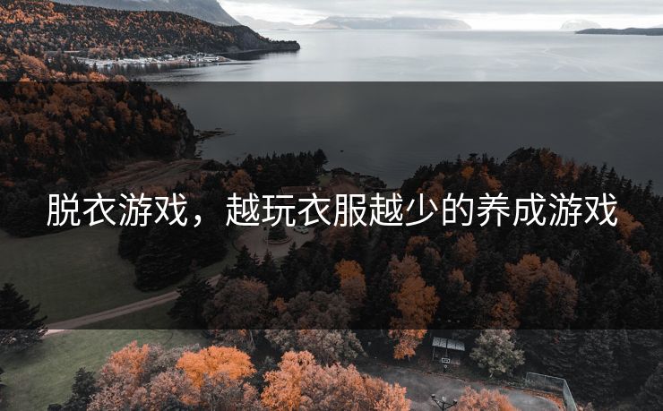 脱衣游戏,越玩衣服越少的养成游戏 脱衣游戏,越玩衣服越少的养成游戏