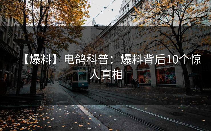 【爆料】电鸽科普:爆料背后10个惊人真相 【爆料】电鸽科普:爆料背后10个惊人真相